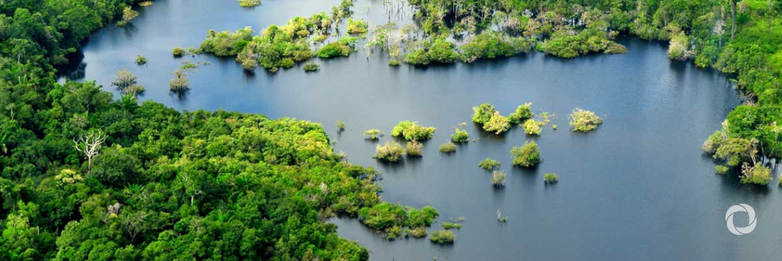 Freshwater ecosystems tool enables SDG reporting to continue despite COVID-19 Freshwater ecosystems tool enables SDG reporting to continue despite COVID-19