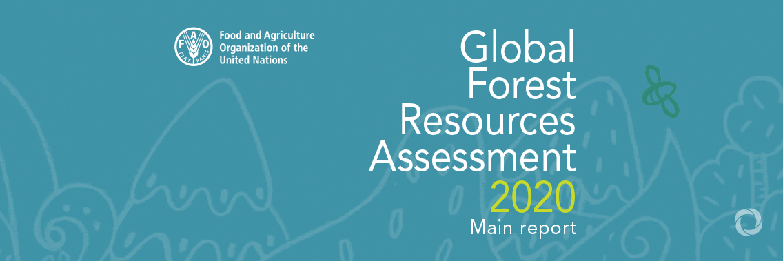 Deforestation has slowed down but still remains a concern, new FAO report reveals