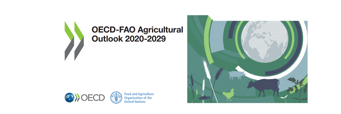 Rising uncertainties from COVID-19 cloud medium-term agricultural prospects Rising uncertainties from COVID-19 cloud medium-term agricultural prospects