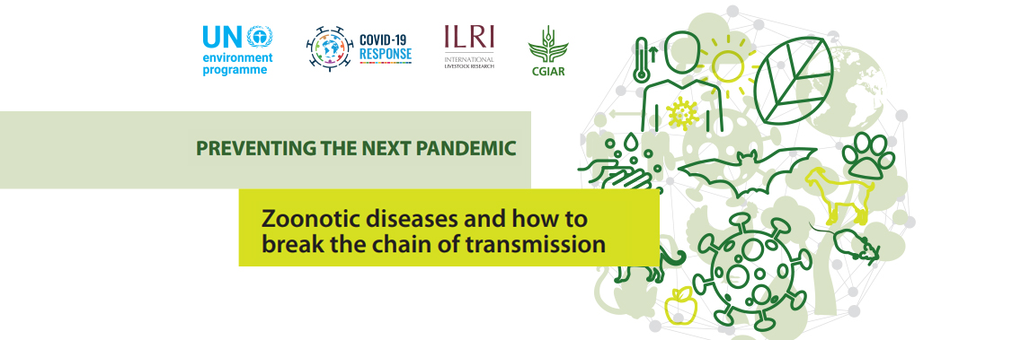 Unite human, animal and environmental health to prevent the next pandemic – UN Report Unite human, animal and environmental health to prevent the next pandemic – UN Report
