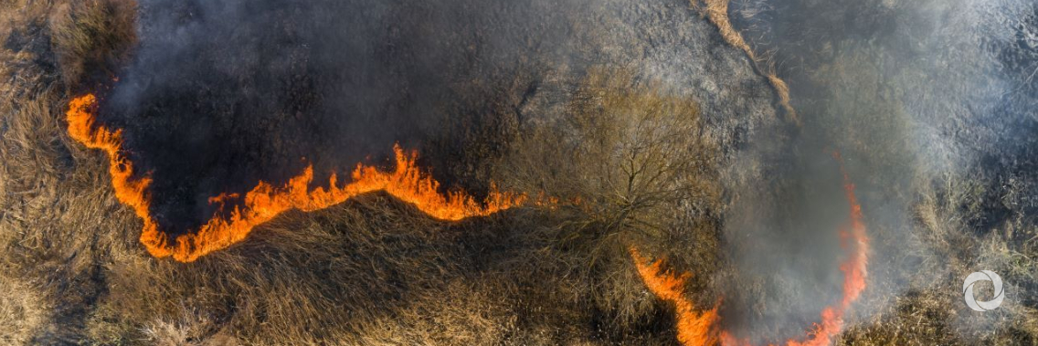 Siberia: heat, fire and melting ice Siberia: heat, fire and melting ice