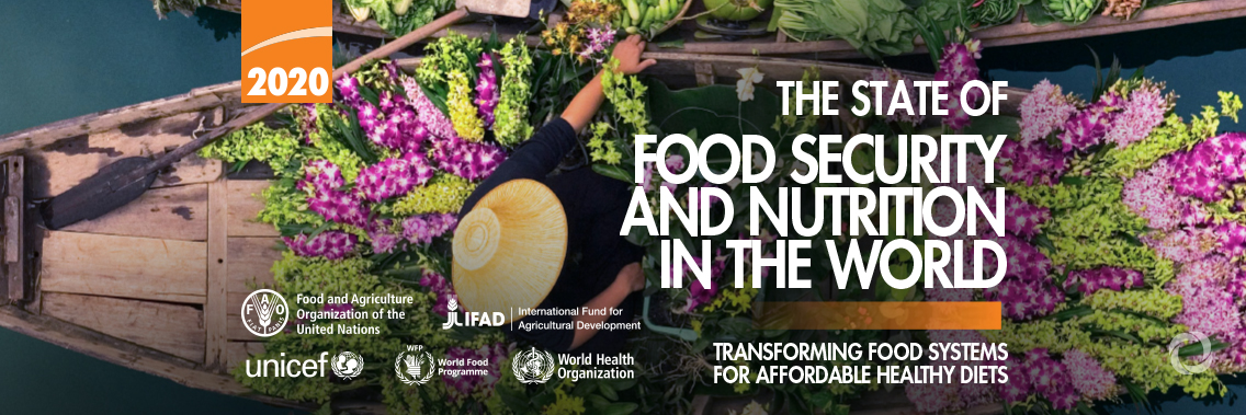 As more go hungry and malnutrition persists, achieving Zero Hunger by 2030 in doubt, UN report warns As more go hungry and malnutrition persists, achieving Zero Hunger by 2030 in doubt, UN report warns