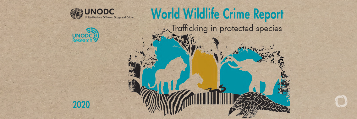 The COVID-19 pandemic has shown that wildlife crime is a threat not only to the environment and biodiversity, but also to human health The COVID-19 pandemic has shown that wildlife crime is a threat not only to the environment and biodiversity, but also to human health