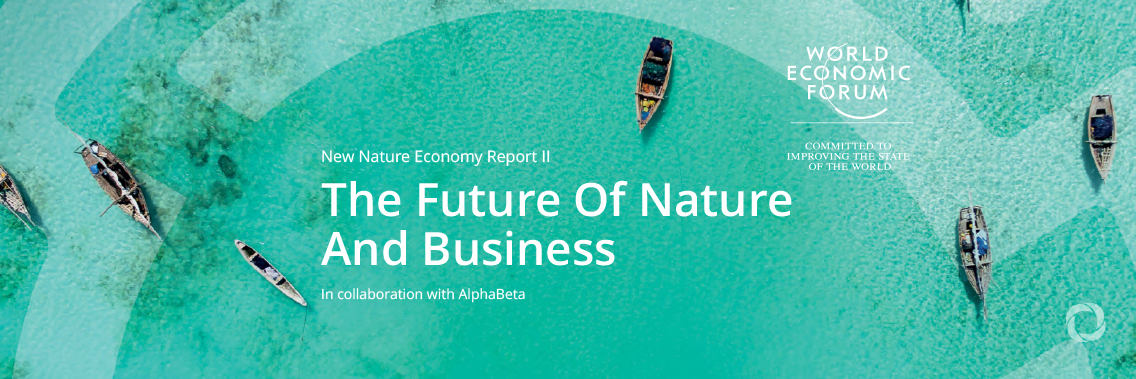 Tackling the environmental crisis can boost the economy says WEF report Tackling the environmental crisis can boost the economy says WEF report