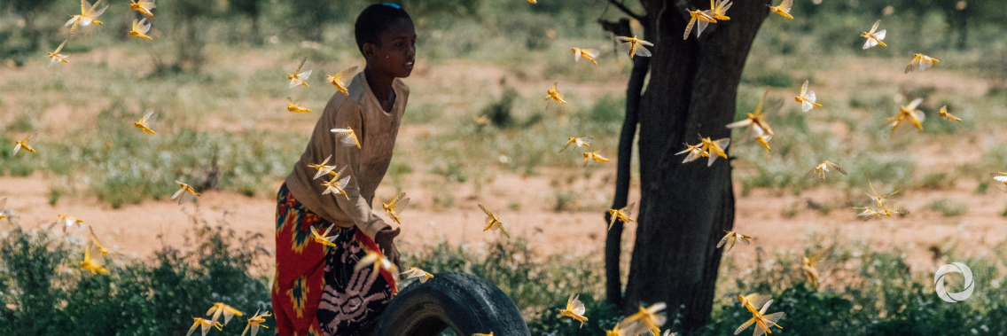 OCHA calls for support against ‘triple threat’ of COVID-19, flooding and desert locusts in the Horn of Africa OCHA calls for support against ‘triple threat’ of COVID-19, flooding and desert locusts in the Horn of Africa