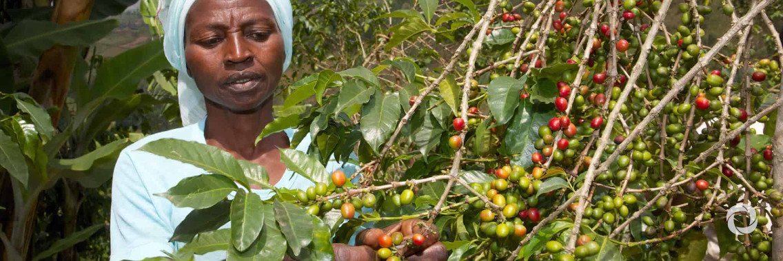 The Democratic Republic of the Congo and IFAD partner for better nutrition and resilience for small-scale farmers facing COVID-19