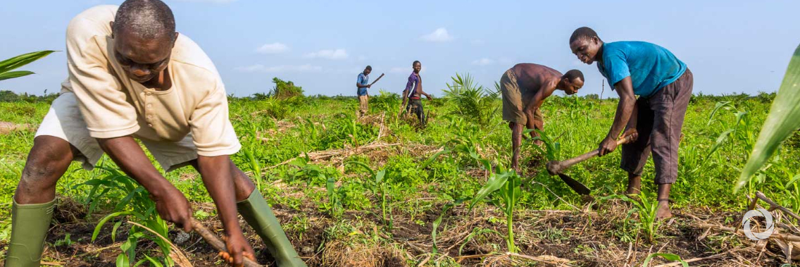 IFAD invests €77.7 million in Niger for food and nutrition security and climate change resilience