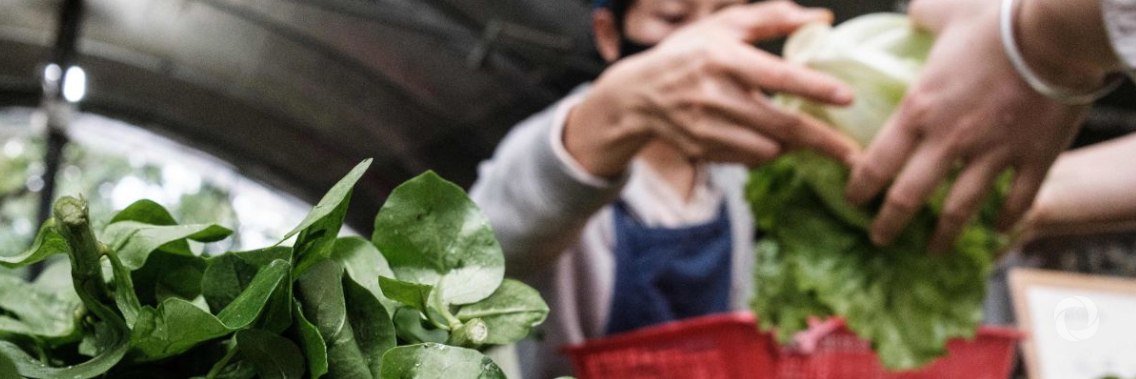 Fall out of COVID-19 severely affects food security of migrants in South America Fall out of COVID-19 severely affects food security of migrants in South America