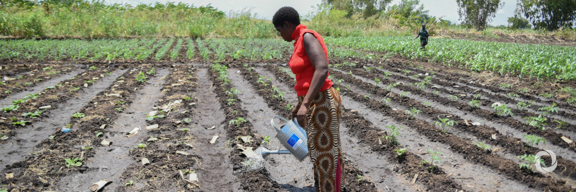 EU mobilises €64 million for most vulnerable in Southern Africa EU mobilises €64 million for most vulnerable in Southern Africa