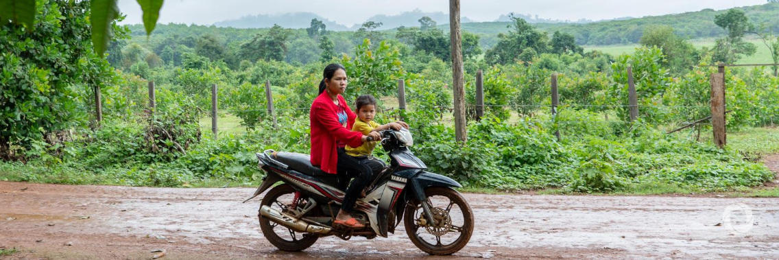 $100 million climate-resilient road project to improve access to basic services, economic opportunities in Cambodia $100 million climate-resilient road project to improve access to basic services, economic opportunities in Cambodia
