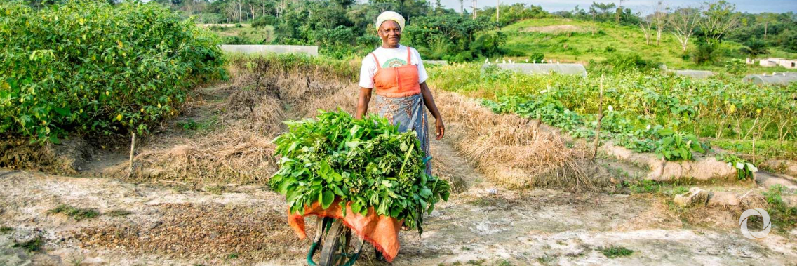 Angola and IFAD to promote sustainable agriculture and boost food security in the face of climate change