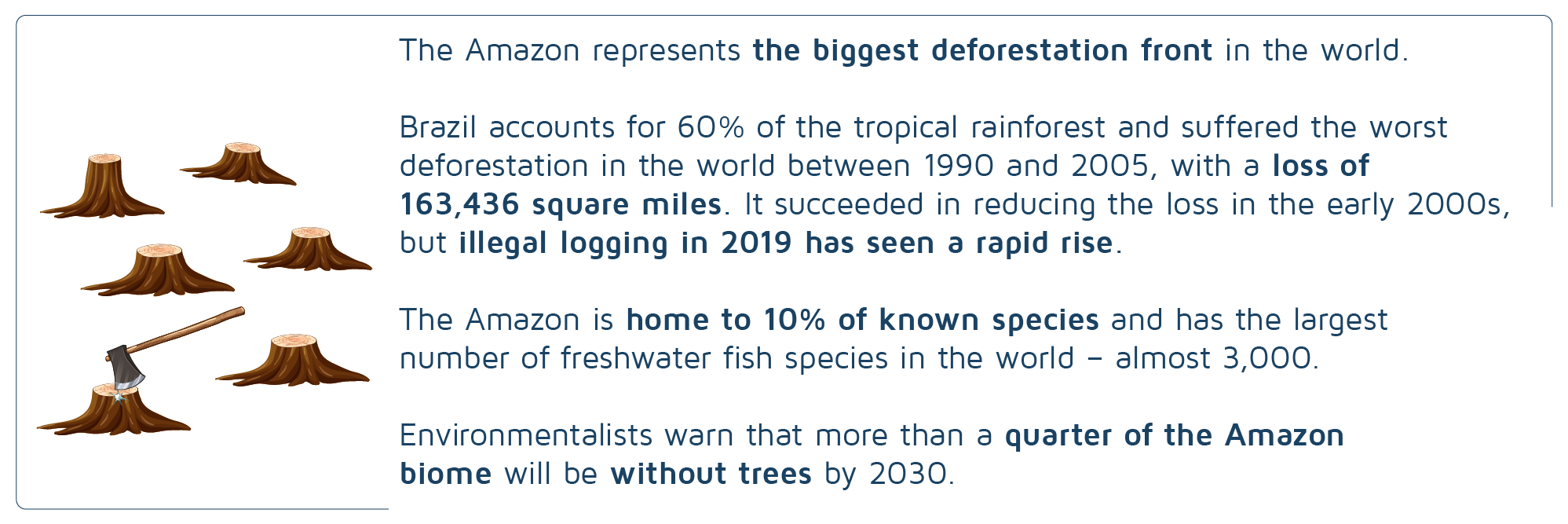 Deforestation in the Amazon is on the rise