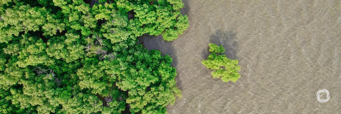 GEF supports new initiative to boost investment in nature-based infrastructure for climate adaptation GEF supports new initiative to boost investment in nature-based infrastructure for climate adaptation