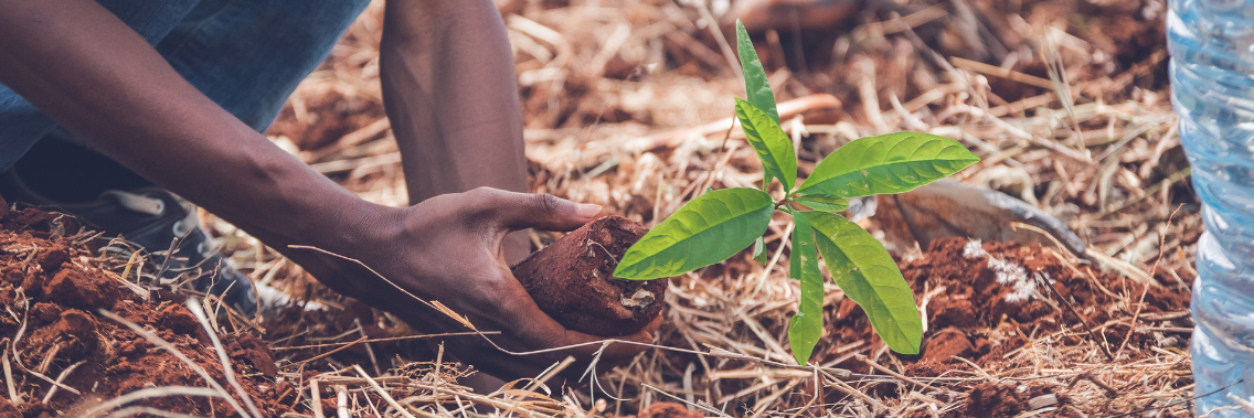 Green Climate Fund Board maintains climate momentum in midst of COVID-19 by approving USD 878.8 million of new funds Green Climate Fund Board maintains climate momentum in midst of COVID-19 by approving USD 878.8 million of new funds