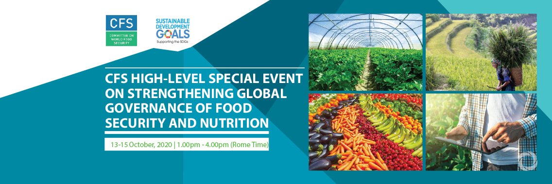 Virtual | CFS High-Level Special Event on Food Security and Nutrition Virtual | CFS High-Level Special Event on Food Security and Nutrition
