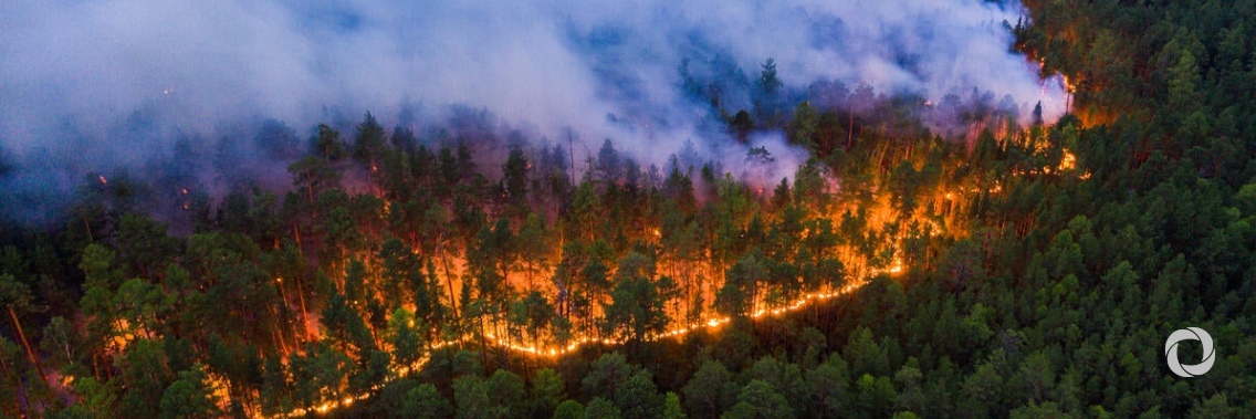 Summer wildfires in the Arctic Circle set new emissions record Summer wildfires in the Arctic Circle set new emissions record