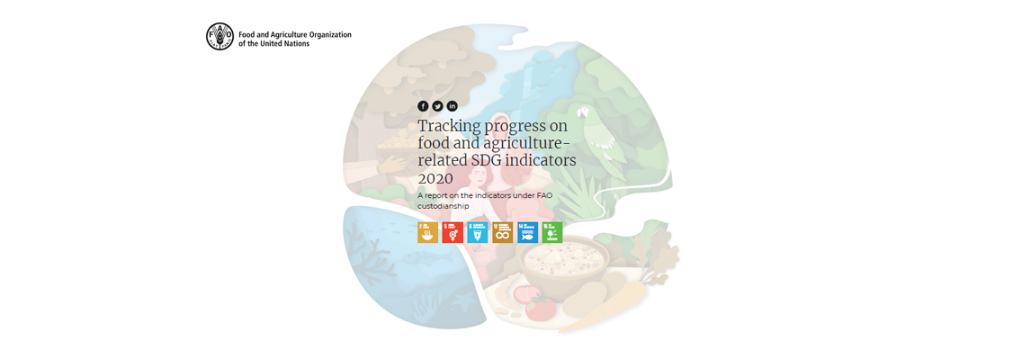 FAO report on food and agriculture indicators underscores lack of progress in achieving the Sustainable Development Goals