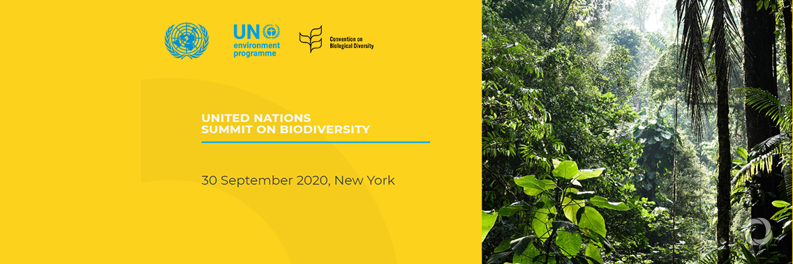 Virtual | United Nations Summit on Biodiversity 2020