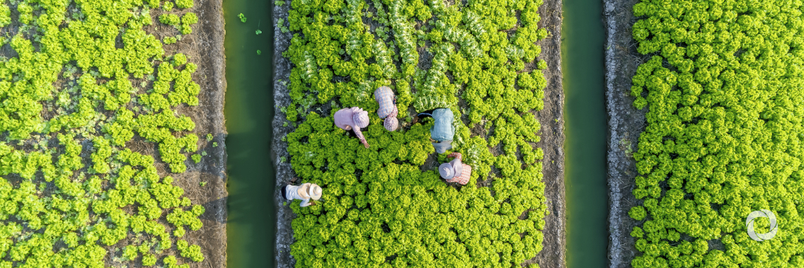 Make COVID recovery ‘a true turning point’ for people and planet, says UN chief Make COVID recovery ‘a true turning point’ for people and planet, says UN chief