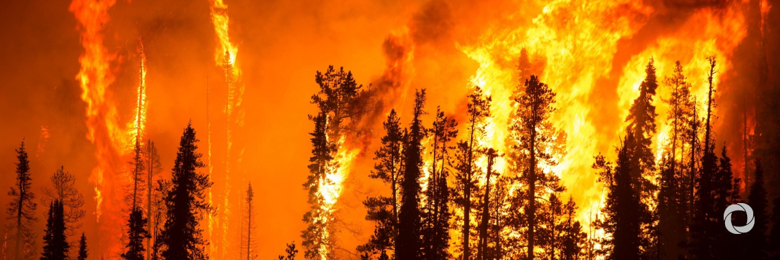 Climate change "increases the risk of wildfires" Climate change "increases the risk of wildfires"