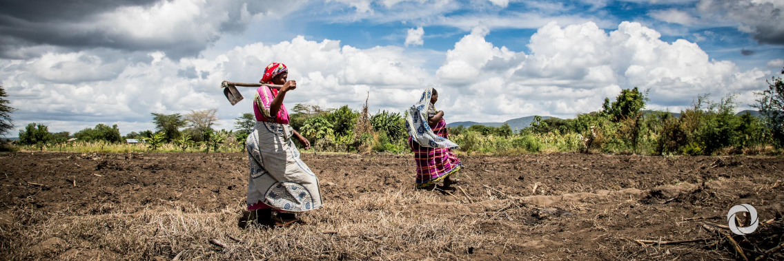 DFC approves $3.6 billion of new investments in global development in largest quarter ever DFC approves $3.6 billion of new investments in global development in largest quarter ever