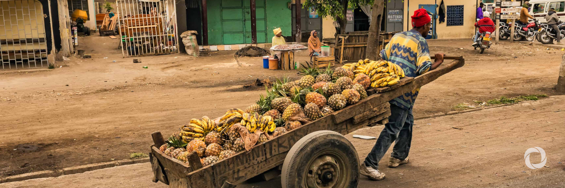 FAO to continue to support G20 to address the pandemic and strengthen agri-food systems