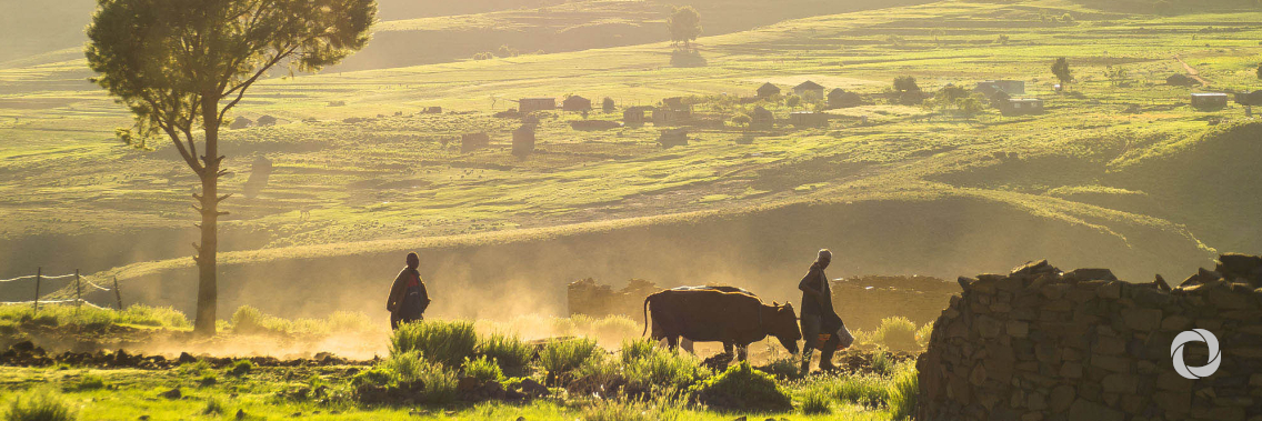 Lesotho and IFAD join to improve the livelihoods of the most vulnerable small-scale farmers Lesotho and IFAD join to improve the livelihoods of the most vulnerable small-scale farmers