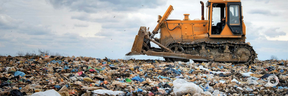 Waste not: the heavy toll of our trash
