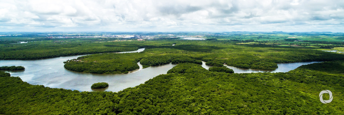 AFD in action to protect the Amazon AFD in action to protect the Amazon