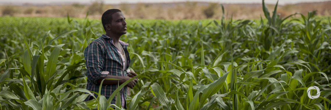 New rural finance programme to help millions of Ethiopian farmers build resilience in the face of climate change and COVID-19 New rural finance programme to help millions of Ethiopian farmers build resilience in the face of climate change and COVID-19