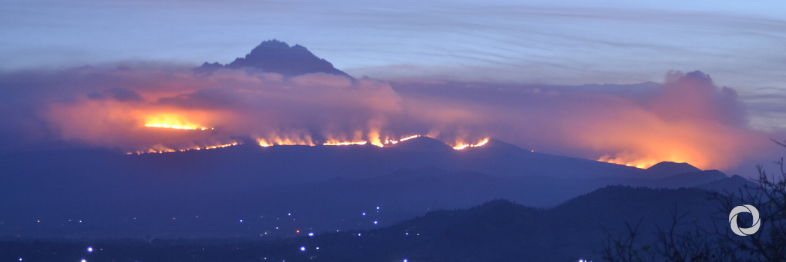 Fires on slopes of Kilimanjaro threaten a diverse ecosystem