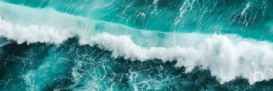 Global Ocean Alliance: 30 countries are now calling for greater ocean protection Global Ocean Alliance: 30 countries are now calling for greater ocean protection