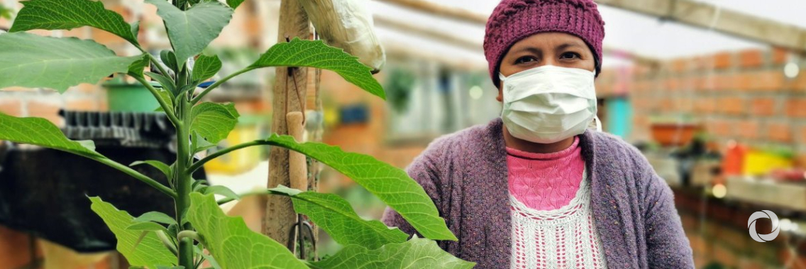 Impact of COVID-19 on people's livelihoods, their health and our food systems