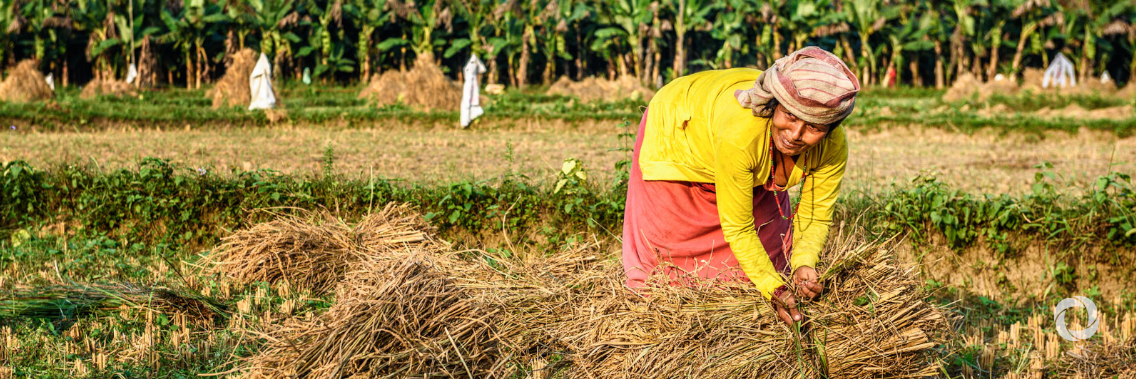 World Bank approves $80 million to boost Nepal’s agriculture sector and support post-pandemic recovery World Bank approves $80 million to boost Nepal’s agriculture sector and support post-pandemic recovery