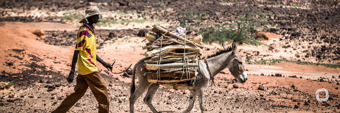 Nordic countries to provide additional EUR 350 million for climate work in developing countries