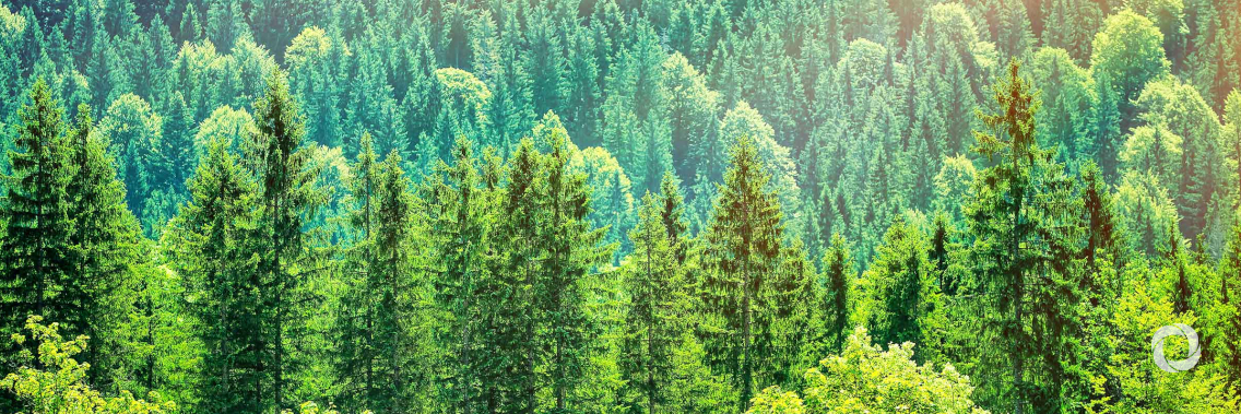 EIB, European Commission and ECBF Management GmbH launch circular bioeconomy fund with a target size of €250 million