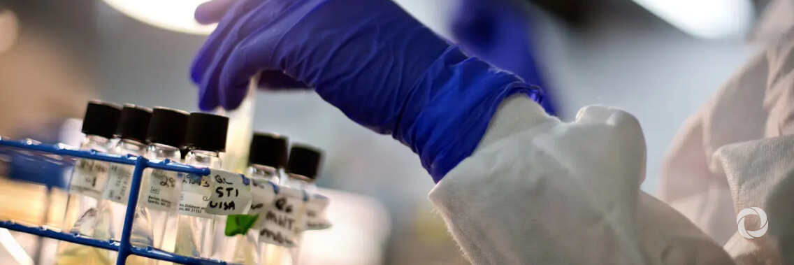 COVID cases surge amid growing threat from antimicrobial resistance – WHO chief