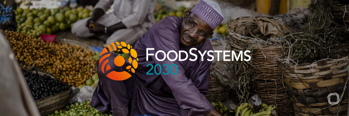 New funding to improve food systems will help prevent zoonotic diseases New funding to improve food systems will help prevent zoonotic diseases