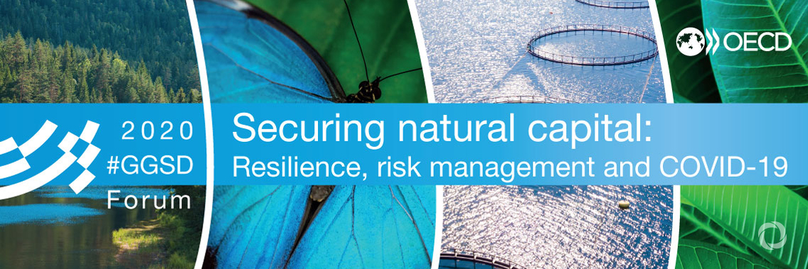GGSD Forum: Securing Natural Capital: Resilience, Risk Management and COVID-19 | Virtual GGSD Forum: Securing Natural Capital: Resilience, Risk Management and COVID-19 | Virtual
