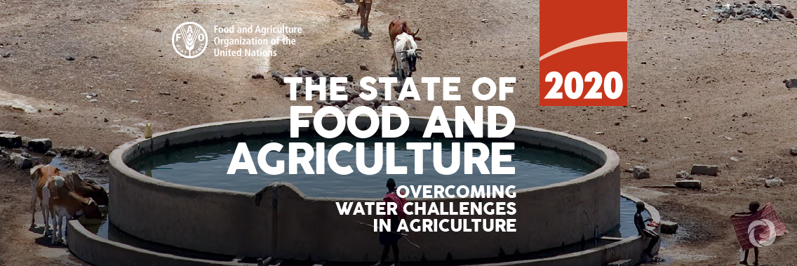 FAO’s The State of Food and Agriculture (SOFA) 2020 takes a new look at water shortages and scarcity in the world