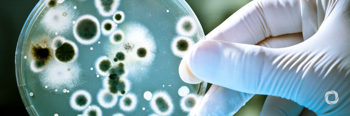 Drug-resistant infections threaten to become next pandemic Drug-resistant infections threaten to become next pandemic