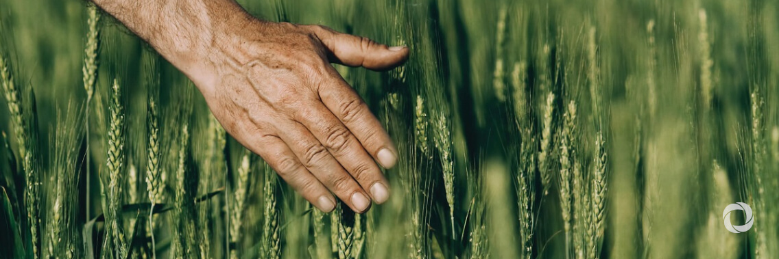 FAO urges G20 to support farmers, protect the vulnerable and invest in innovation FAO urges G20 to support farmers, protect the vulnerable and invest in innovation