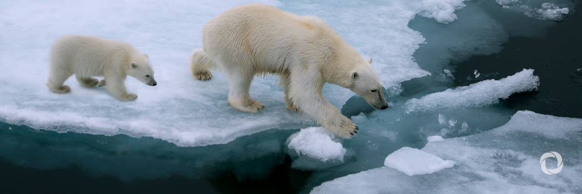 COVID disruption will ‘pale in comparison’ if world fails to act on climate change, SDGs COVID disruption will ‘pale in comparison’ if world fails to act on climate change, SDGs
