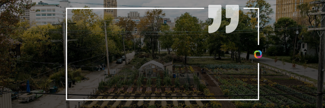 Urban Agriculture - a solution to the challenges facing the urban food supply chain amidst COVID-19 | Experts’ Opinions