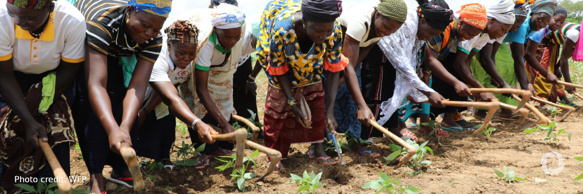 IFAD joins with partners to build resilience and boost development in the Sahel IFAD joins with partners to build resilience and boost development in the Sahel