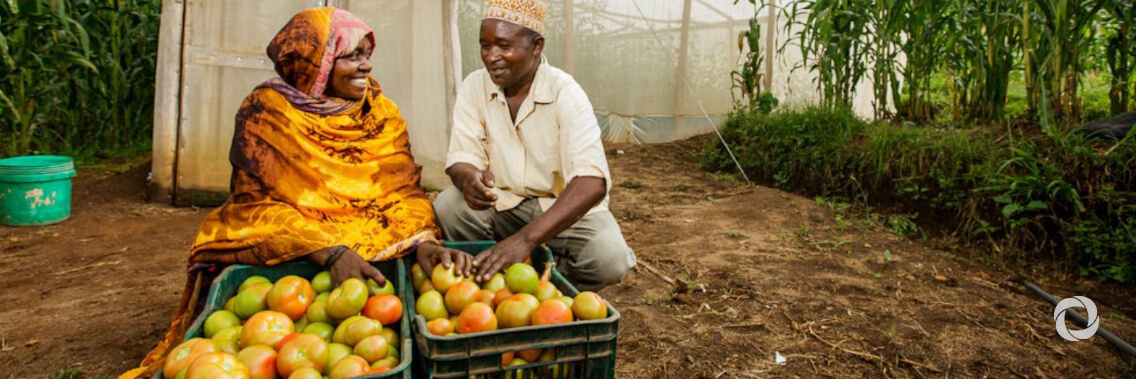 USAID announces joint $30 million commitment to unlock finance for agribusinesses in Africa USAID announces joint $30 million commitment to unlock finance for agribusinesses in Africa
