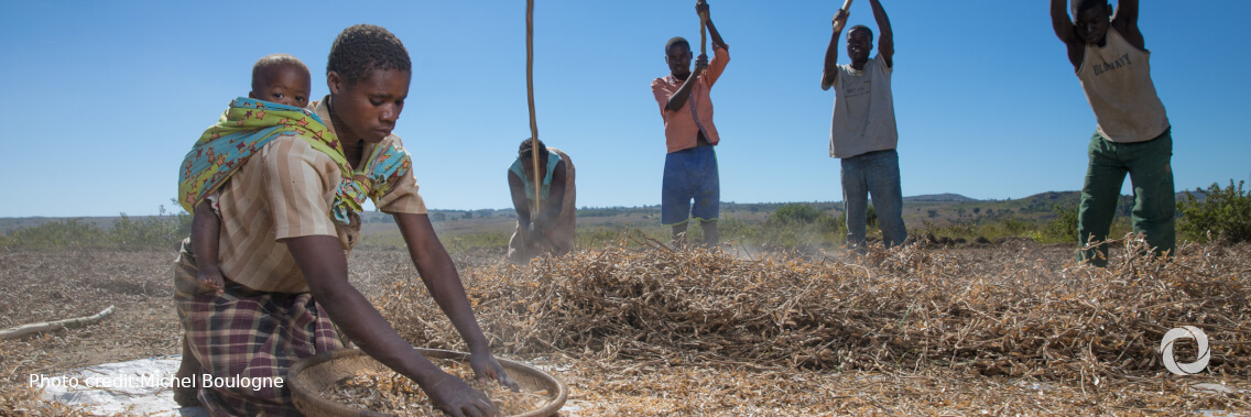 Mozambique and IFAD to increase resilience and food and nutrition security in the face of climate change and COVID-19 Mozambique and IFAD to increase resilience and food and nutrition security in the face of climate change and COVID-19