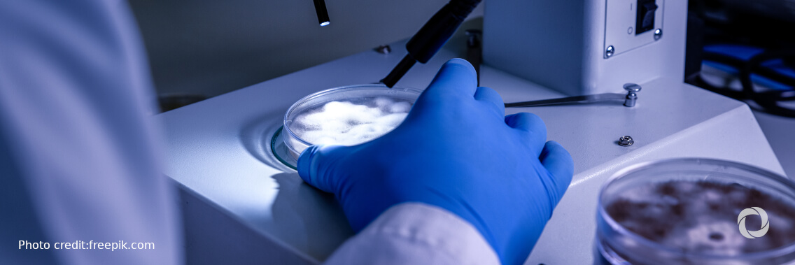 New COVID-19 variants under the microscope as travel bans mount over UK mutation New COVID-19 variants under the microscope as travel bans mount over UK mutation