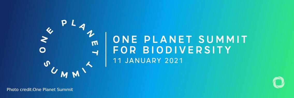 A One Planet Summit for Biodiversity | Virtual A One Planet Summit for Biodiversity | Virtual