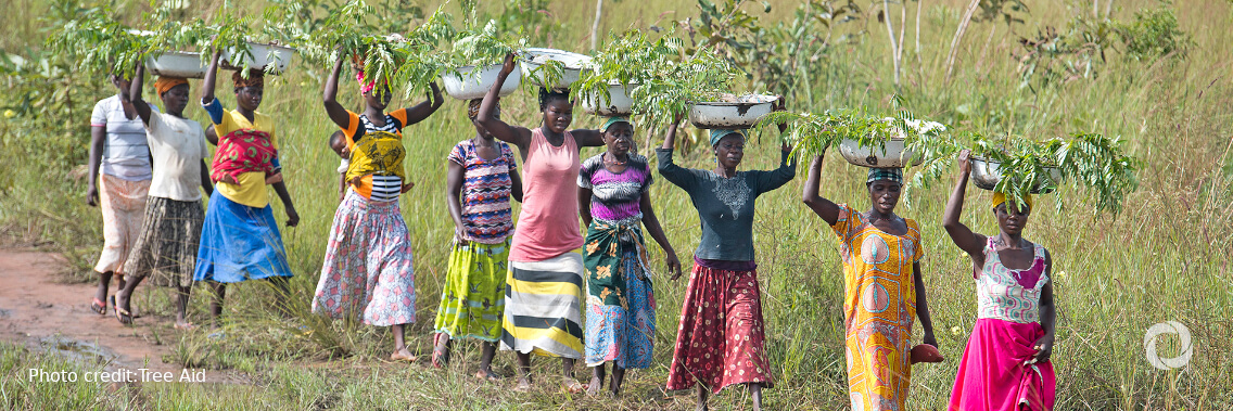 IFAD and GCF scale-up action to improve life for millions of people and restore ecosystems in Africa’s Great Green Wall